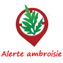 Alerte Ambroisie