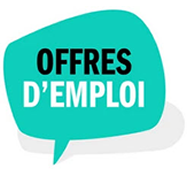 Offres d'Emploi